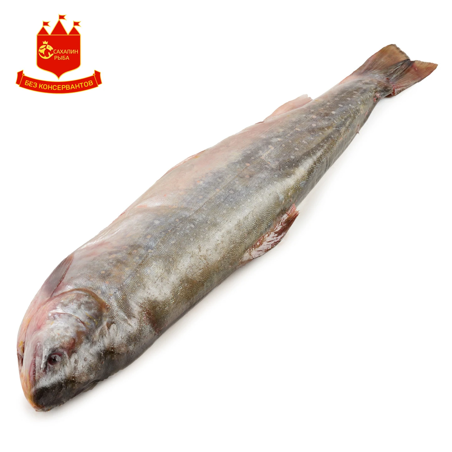 Голец Камчатский с/м 1 кг.