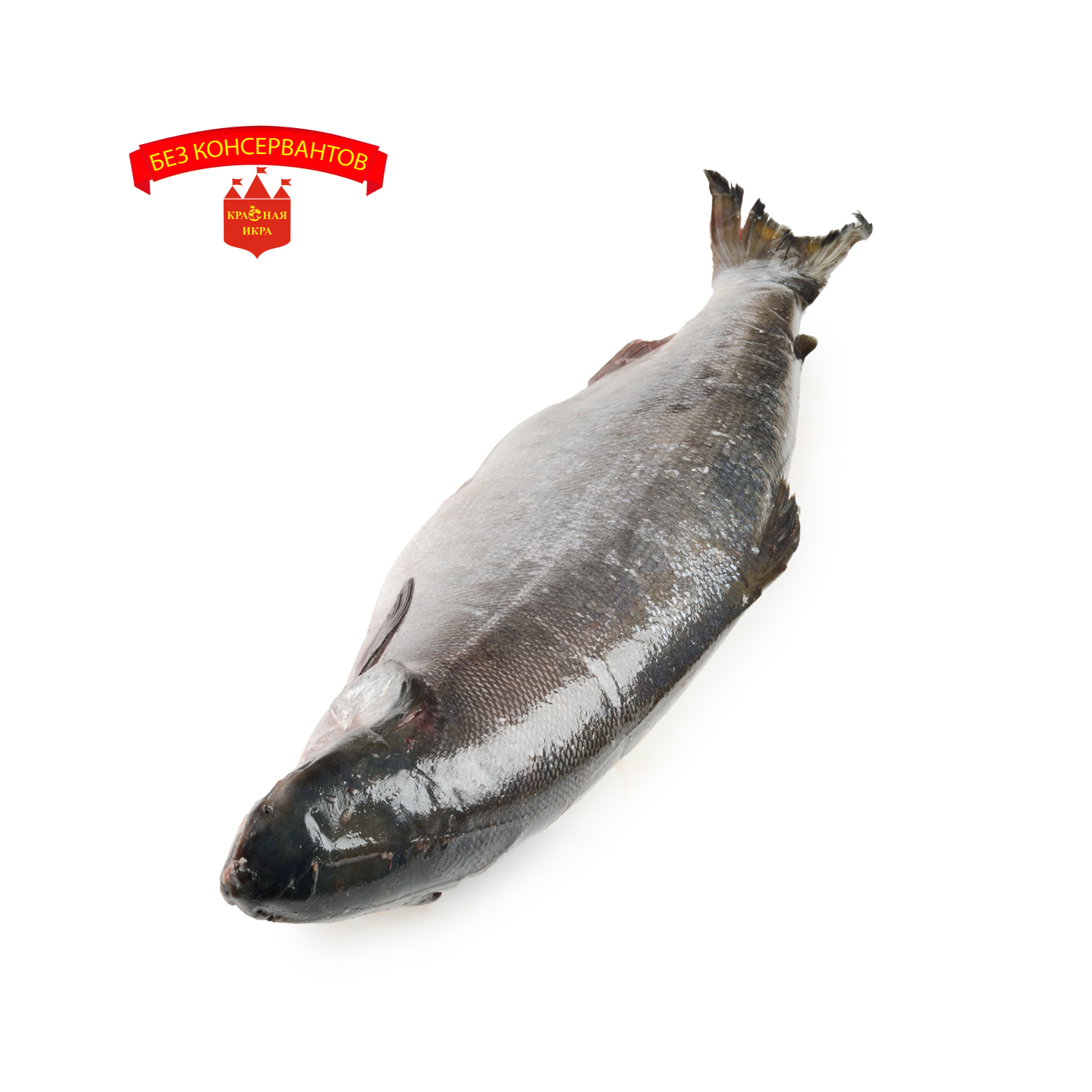 Горбуша с головой 1 кг.