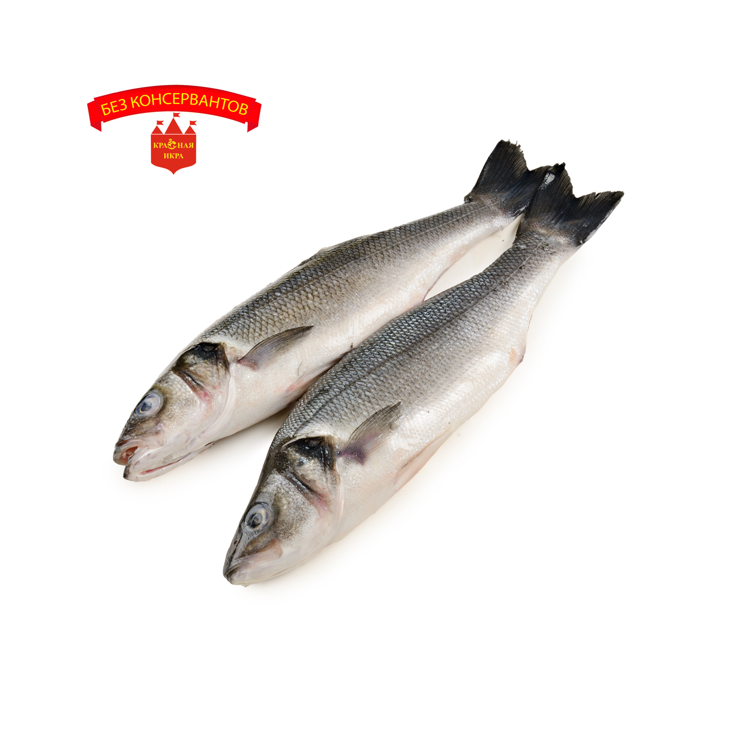 Сибас с/м 1 кг.