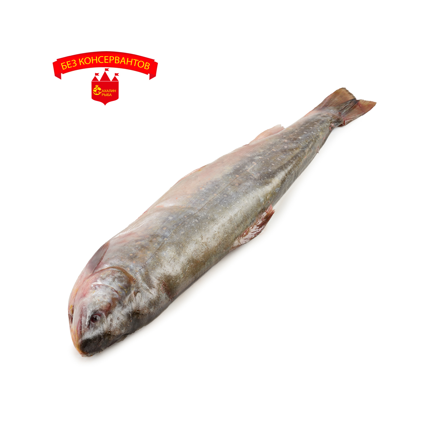 Голец Камчатский с/м 1 кг.