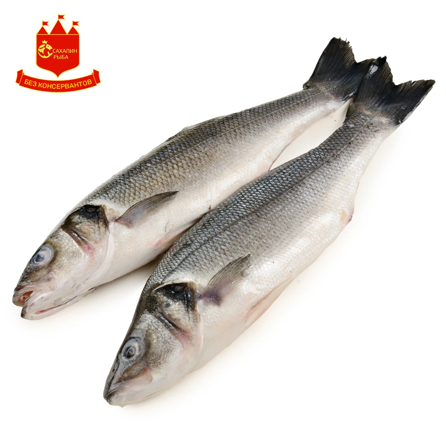 Сибас с/м 1 кг.