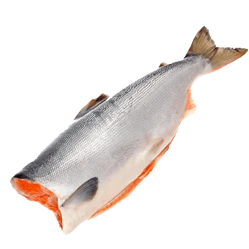 Рыба